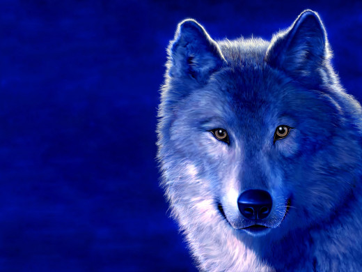 300195 (a): :1600x1200
